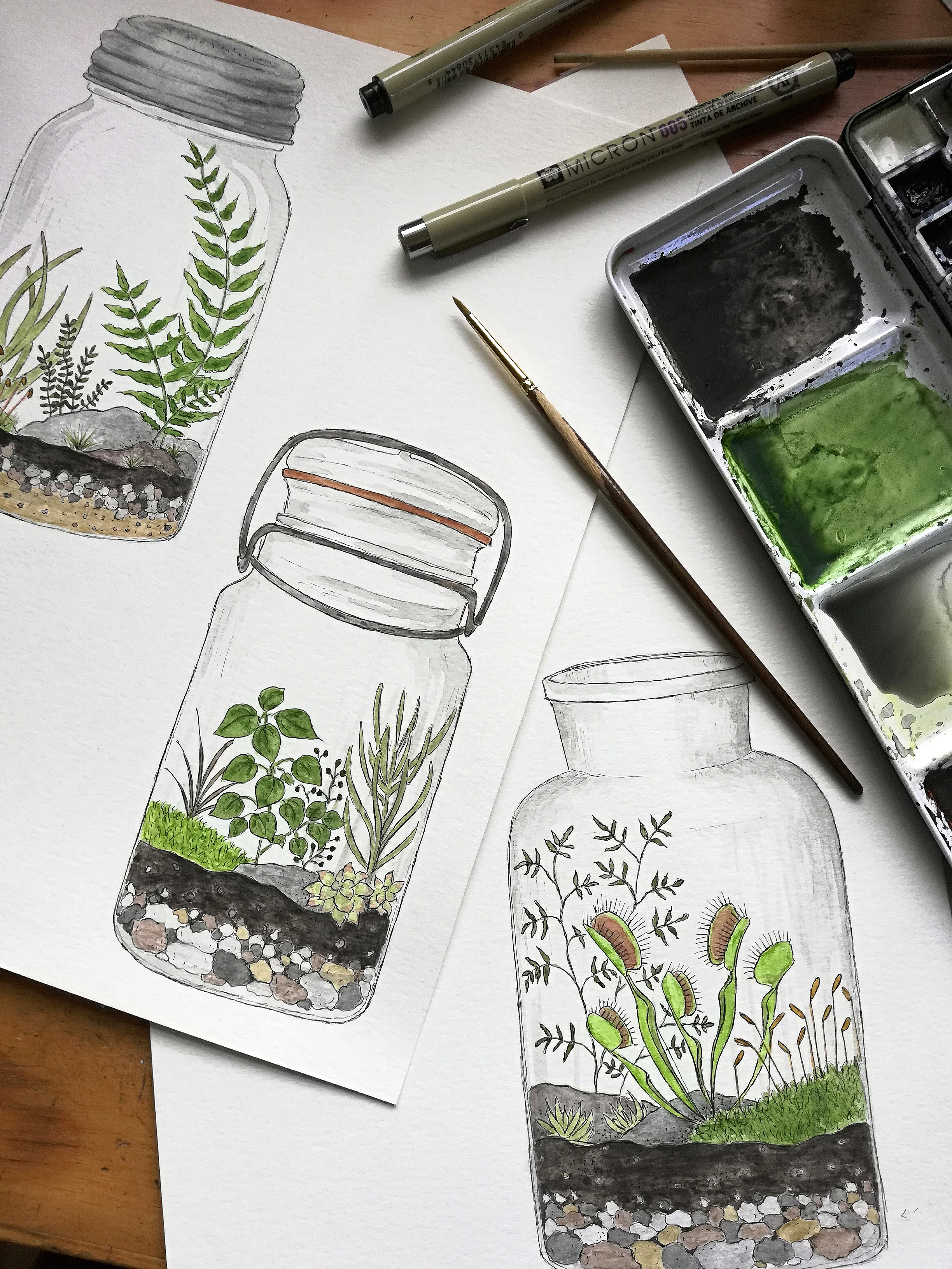 Terrariums