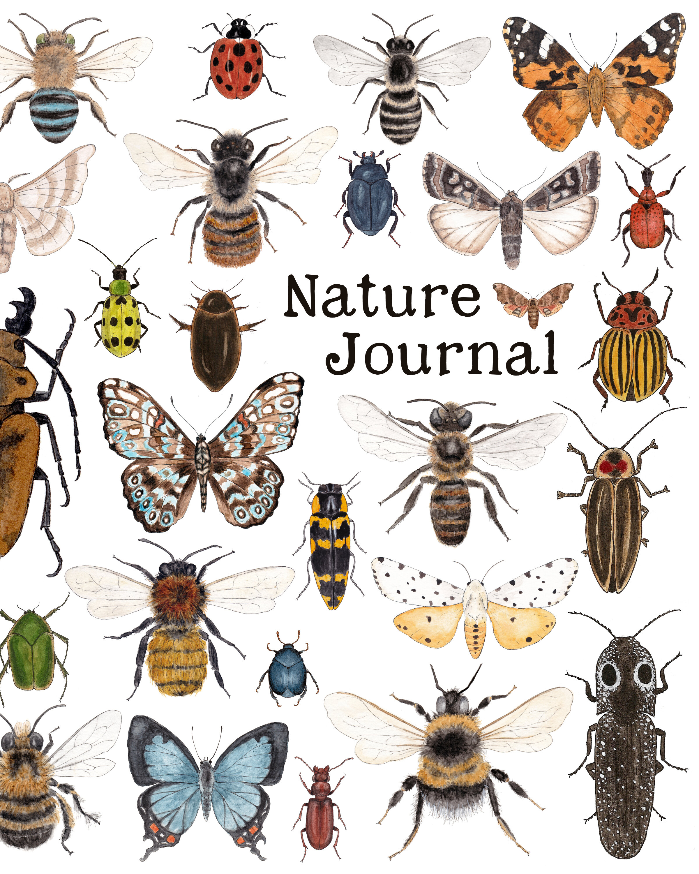 Nature Journal - Assorted Insects Cover Art