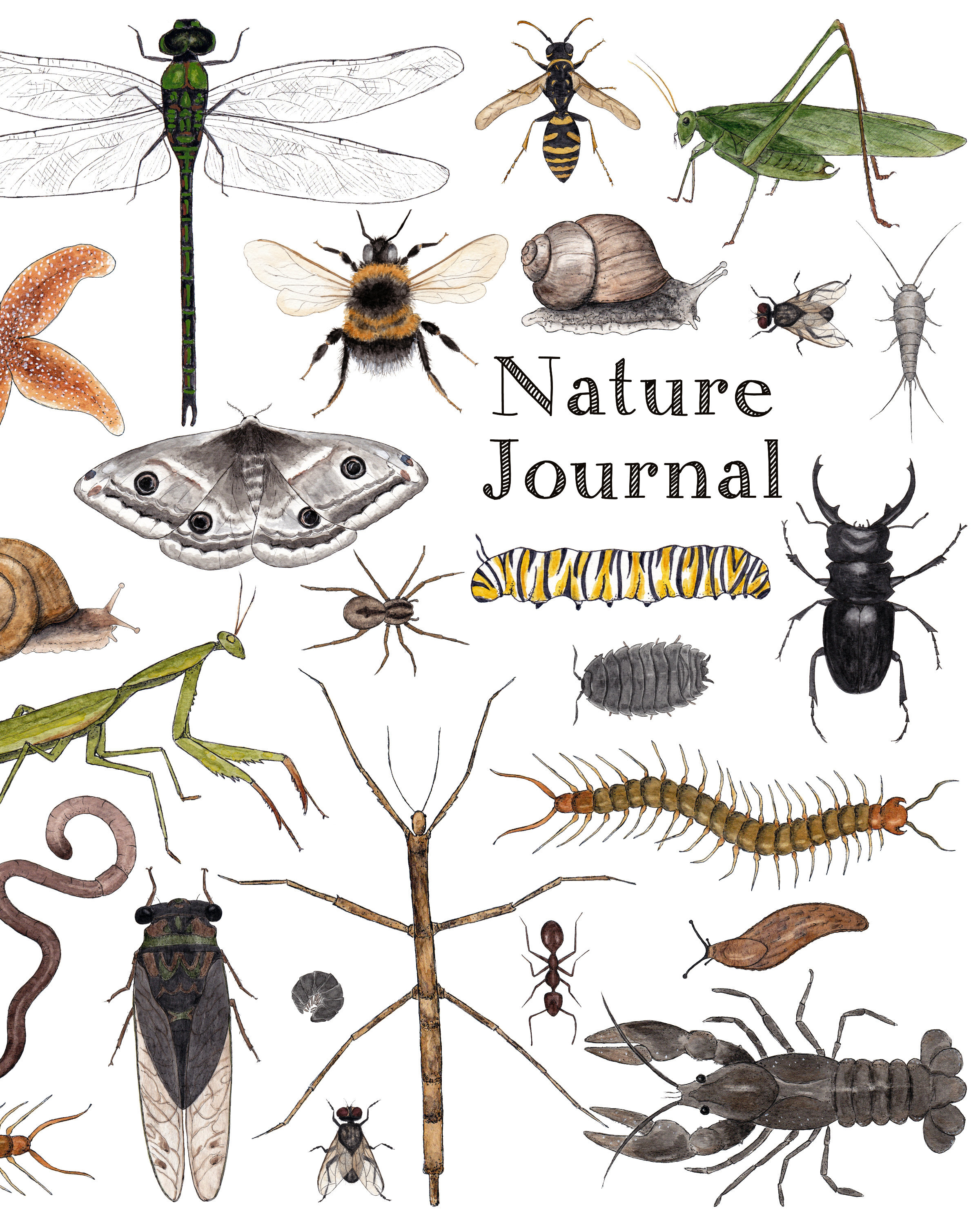 Nature Journal - Minibeasts Cover Art 