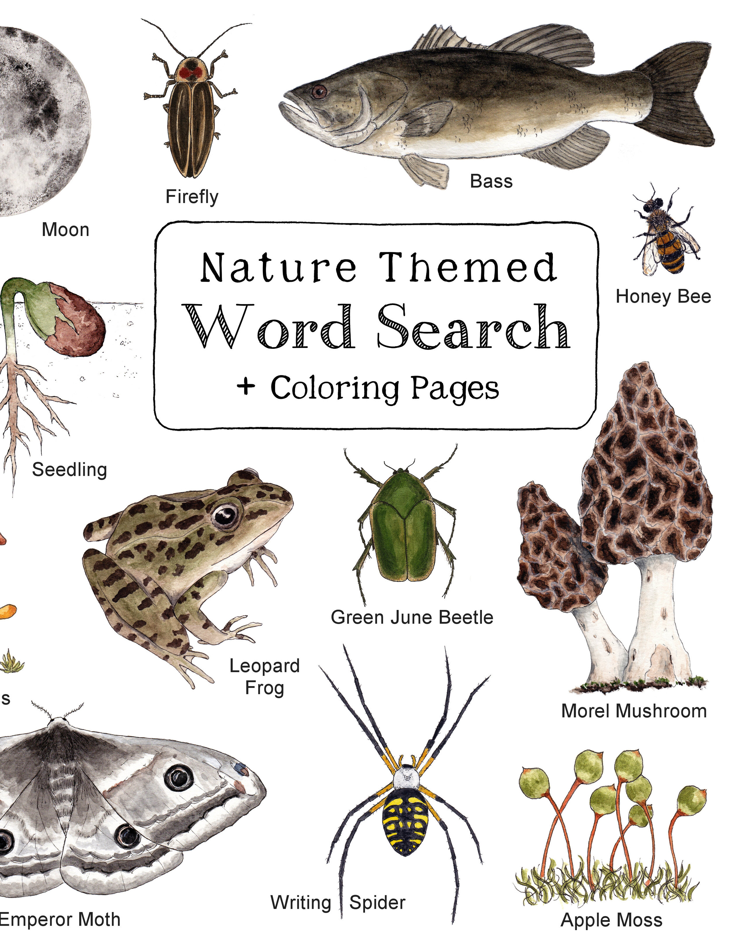 Nature Themed Word Search & Coloring Pages