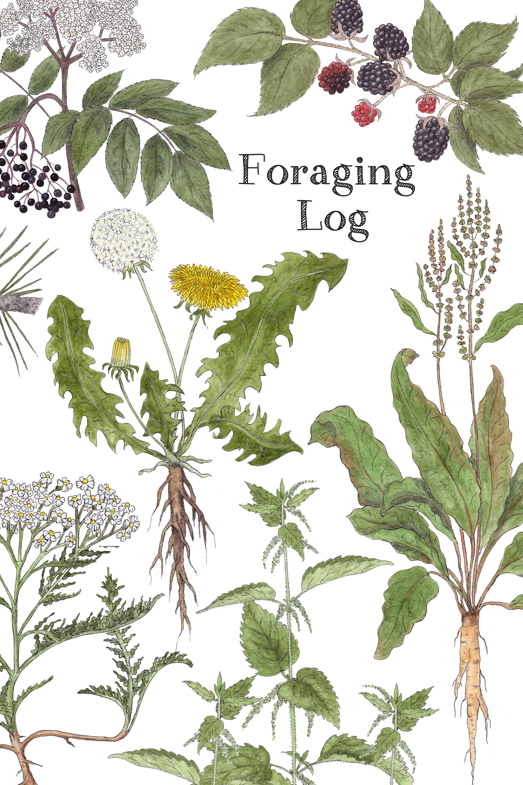 Foraging Log