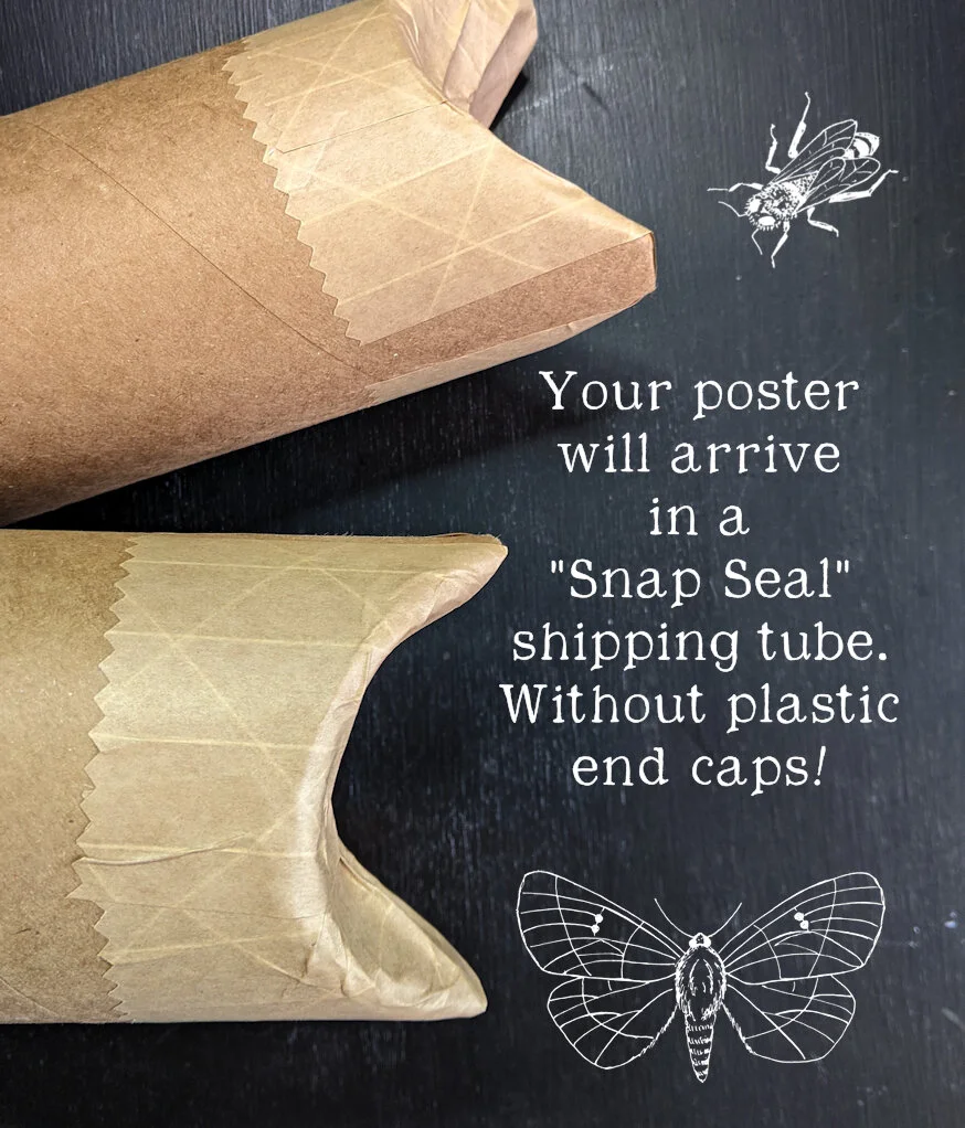 poster tubes-backup.jpg