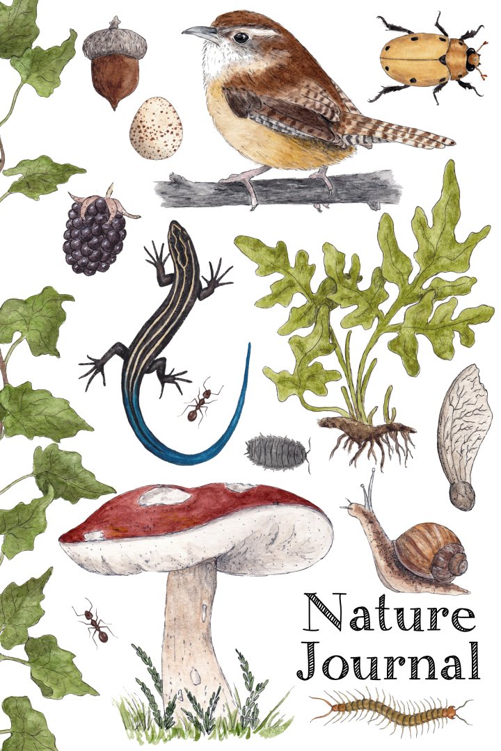 Children's Nature Journal (Smaller 6x9 Size)