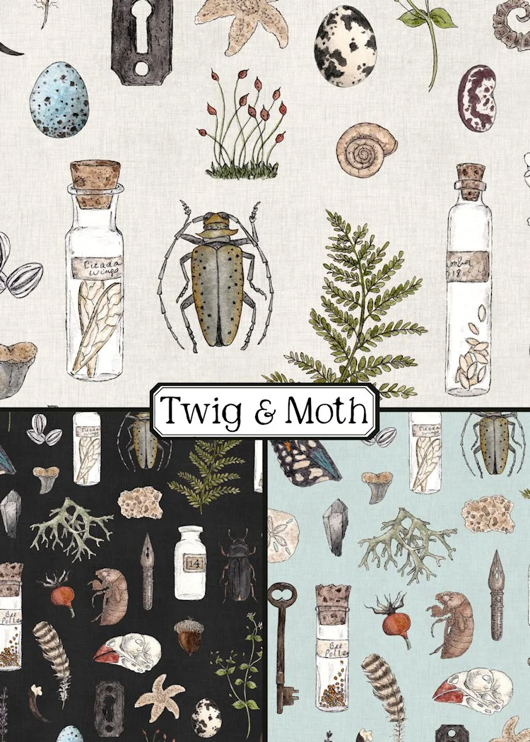 Collection of Curiosities