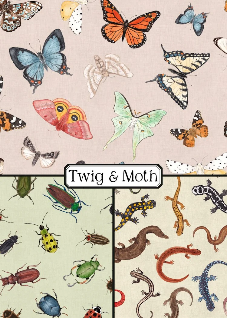 Butterflies, Moths, Beetles & Salamanders