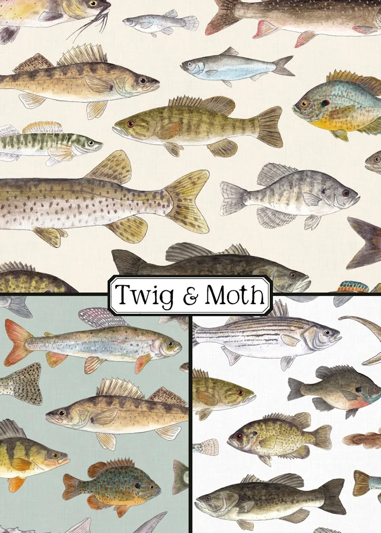 Regional Freshwater Fish