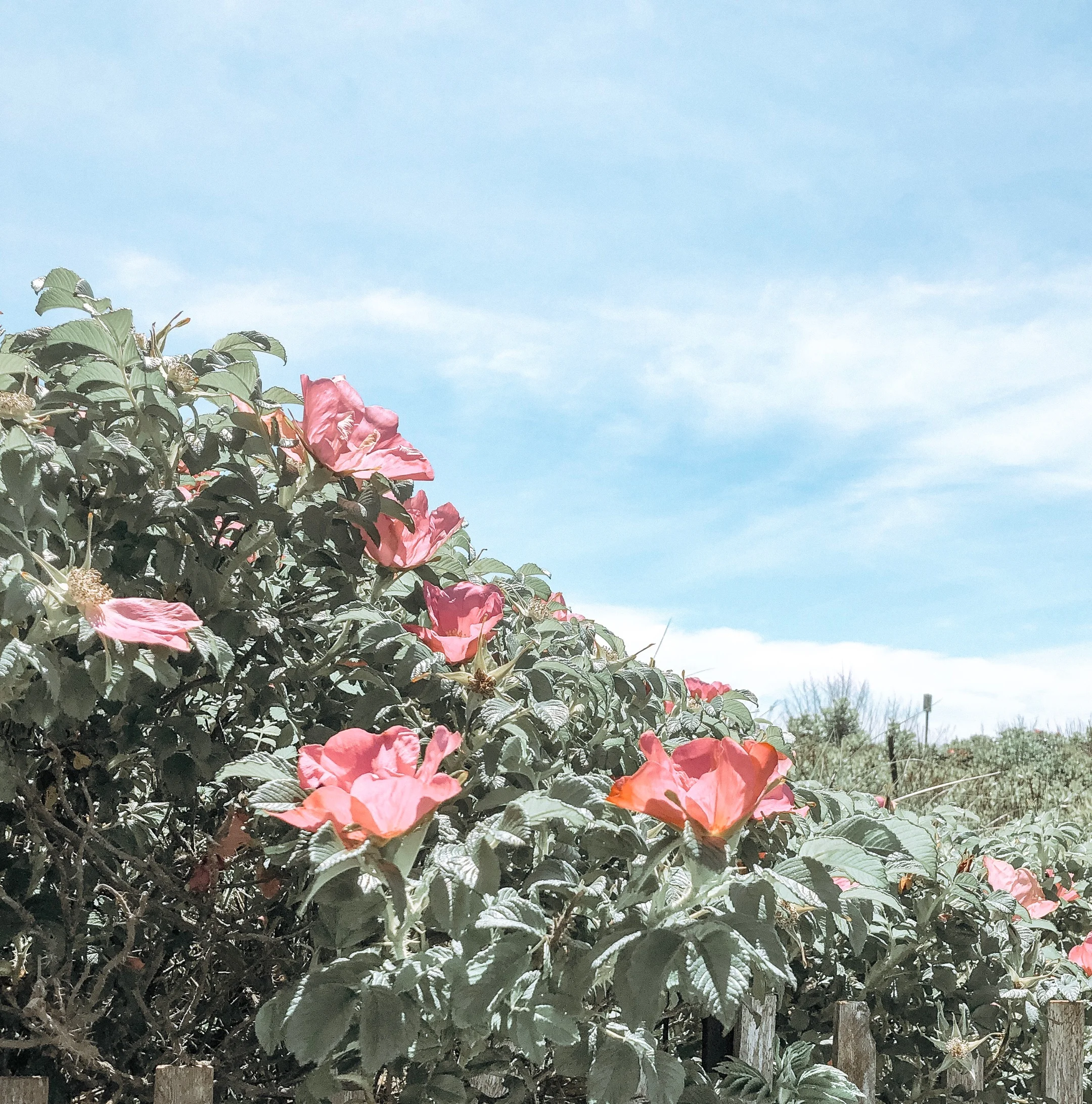 Matunuck, Rhode Island