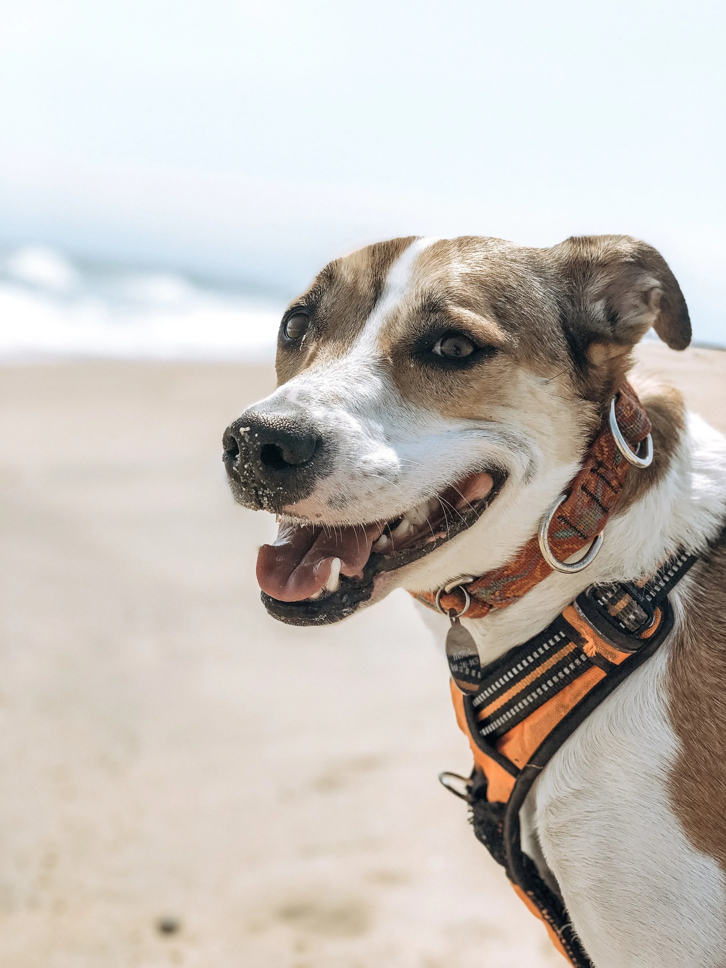 Westerly, RI ft. best friend