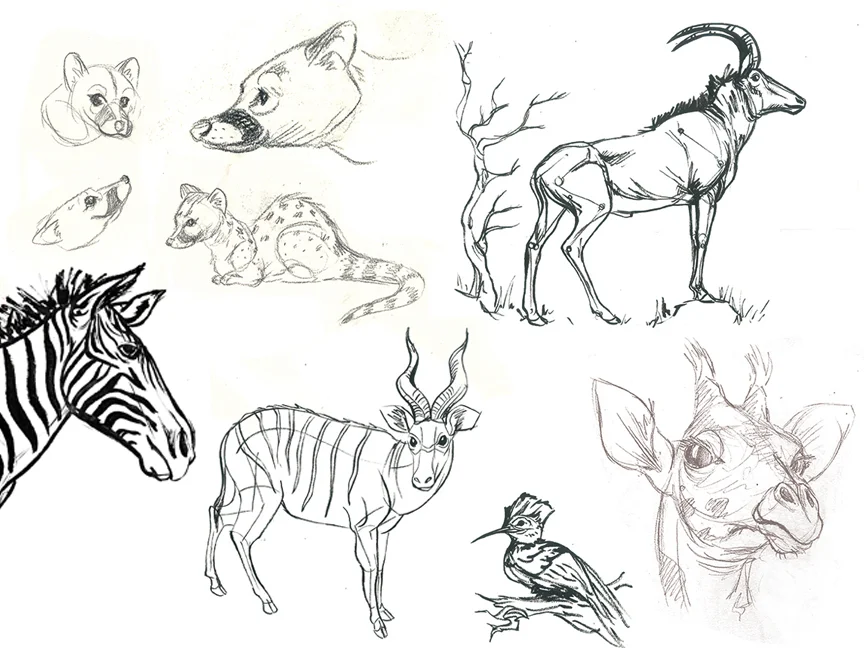 sketchbook1 copy copy.jpg