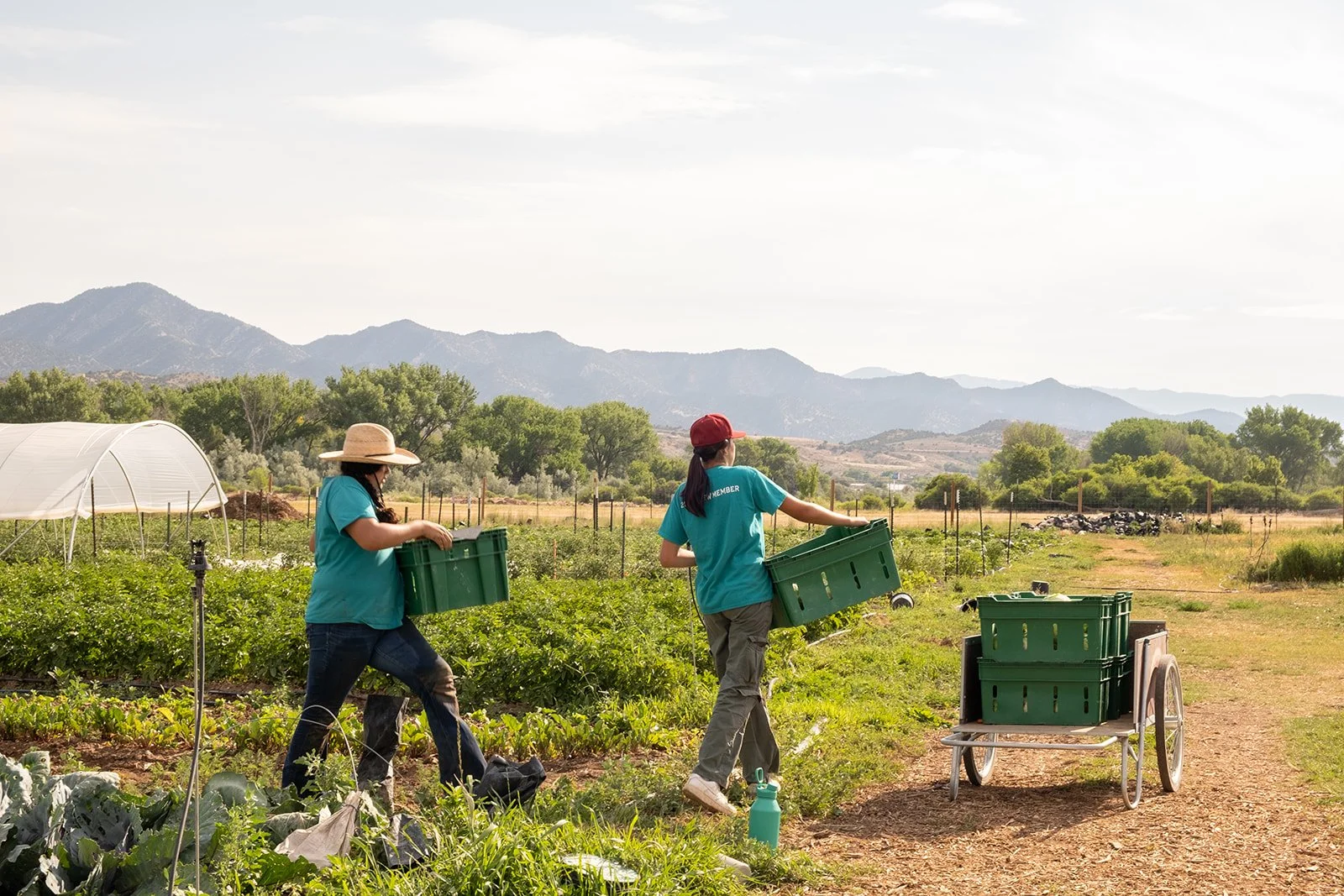 Regenerative, Community Farming in Silt, CO | Highwater Farm