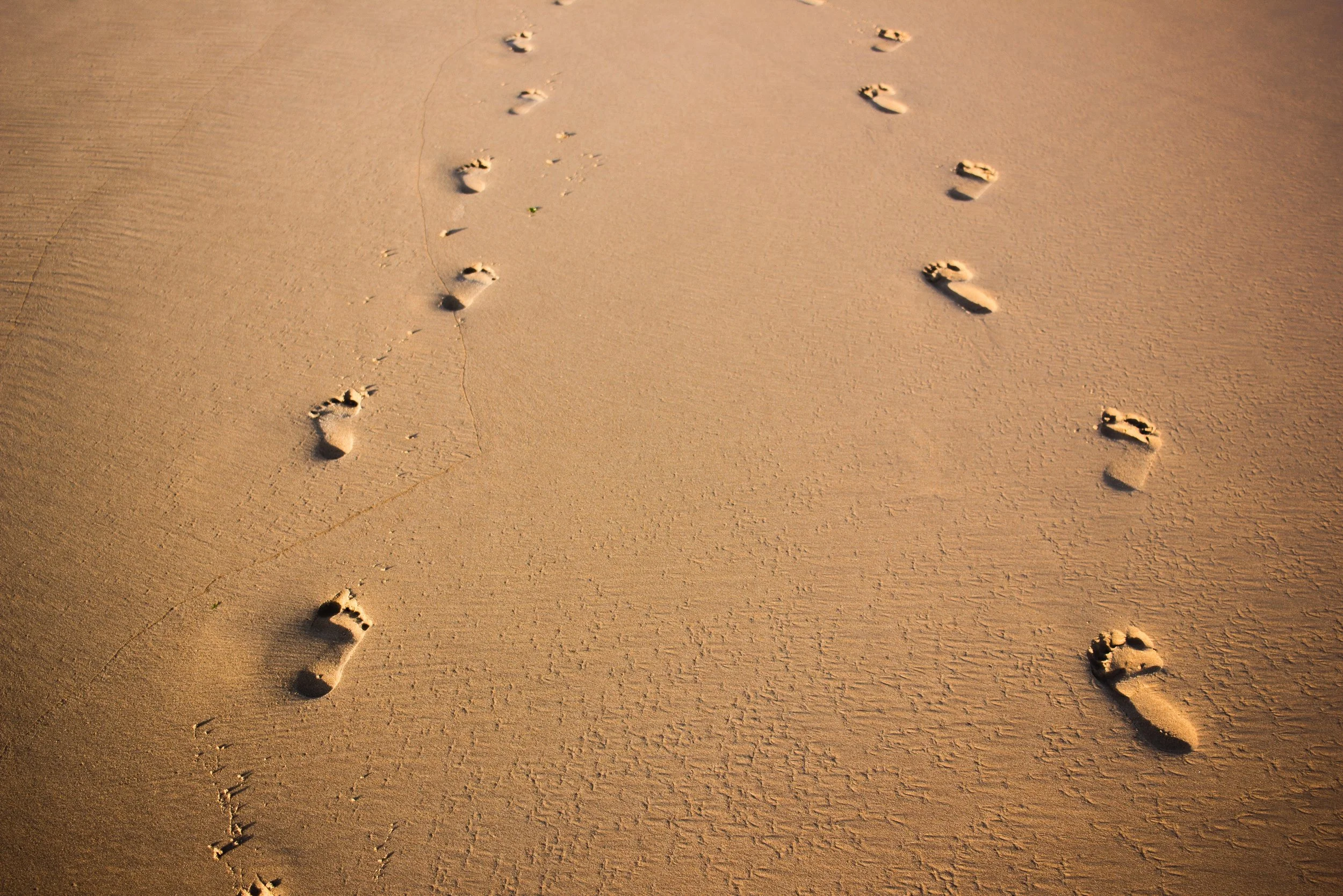 Footprints.jpg