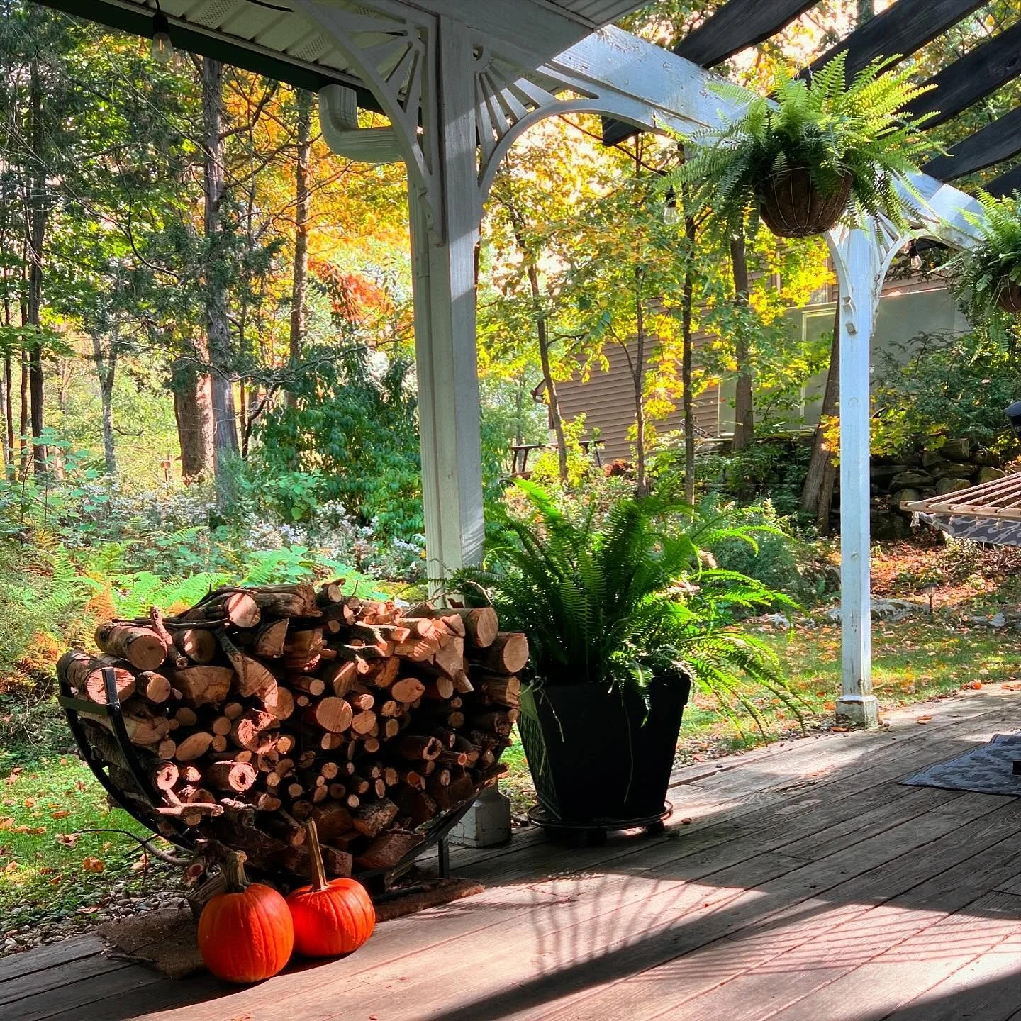 That autumn light 👌🍁🍂