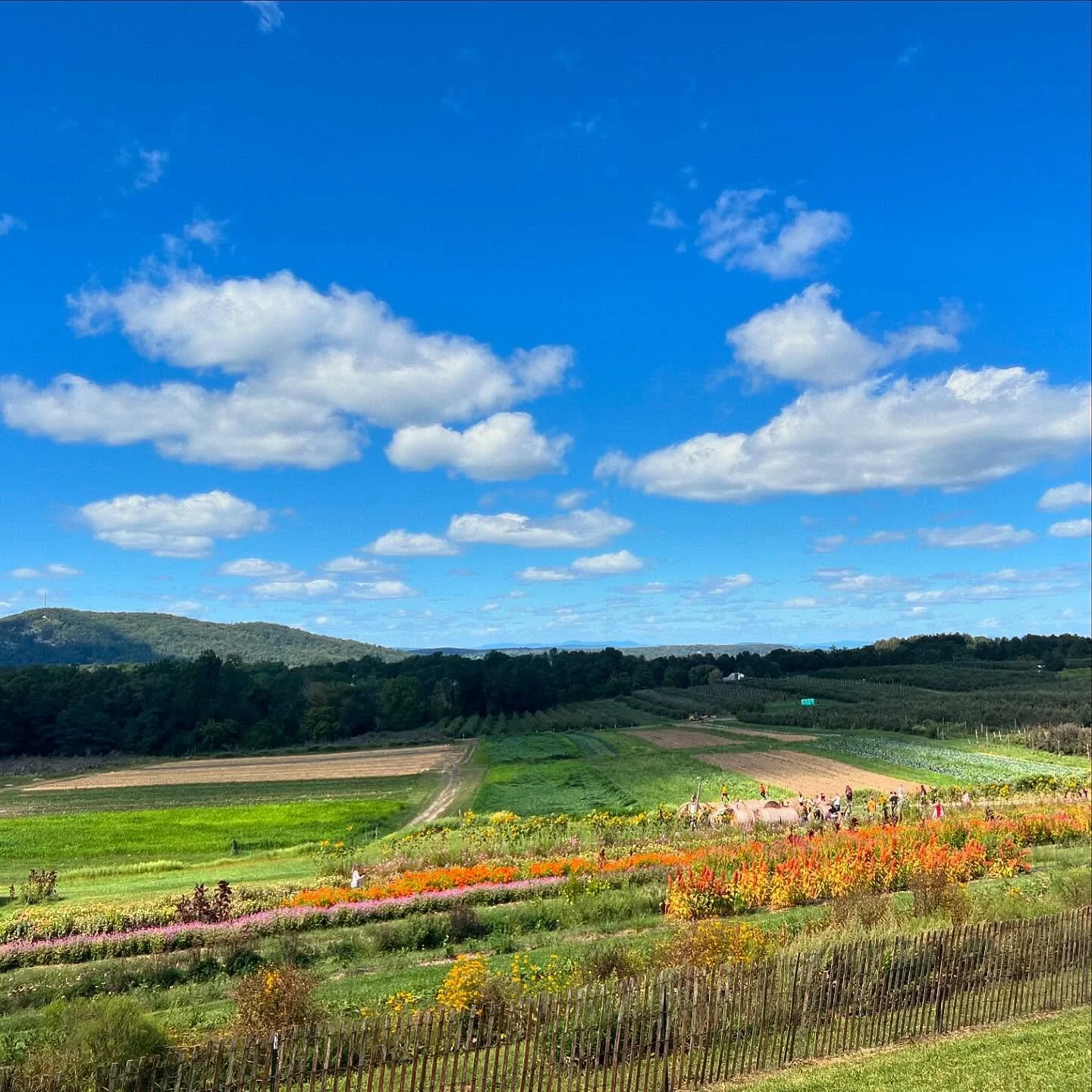 Crispy September Hudson Valley views&hellip; 🍂🌾
