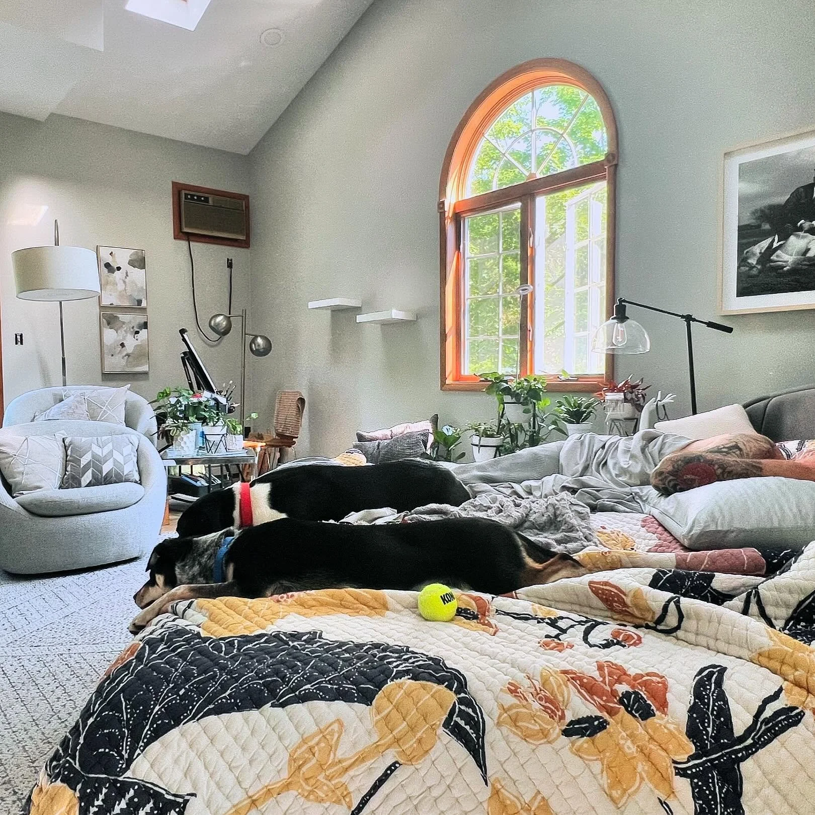 Scenes from a lazy Sunday. 💛