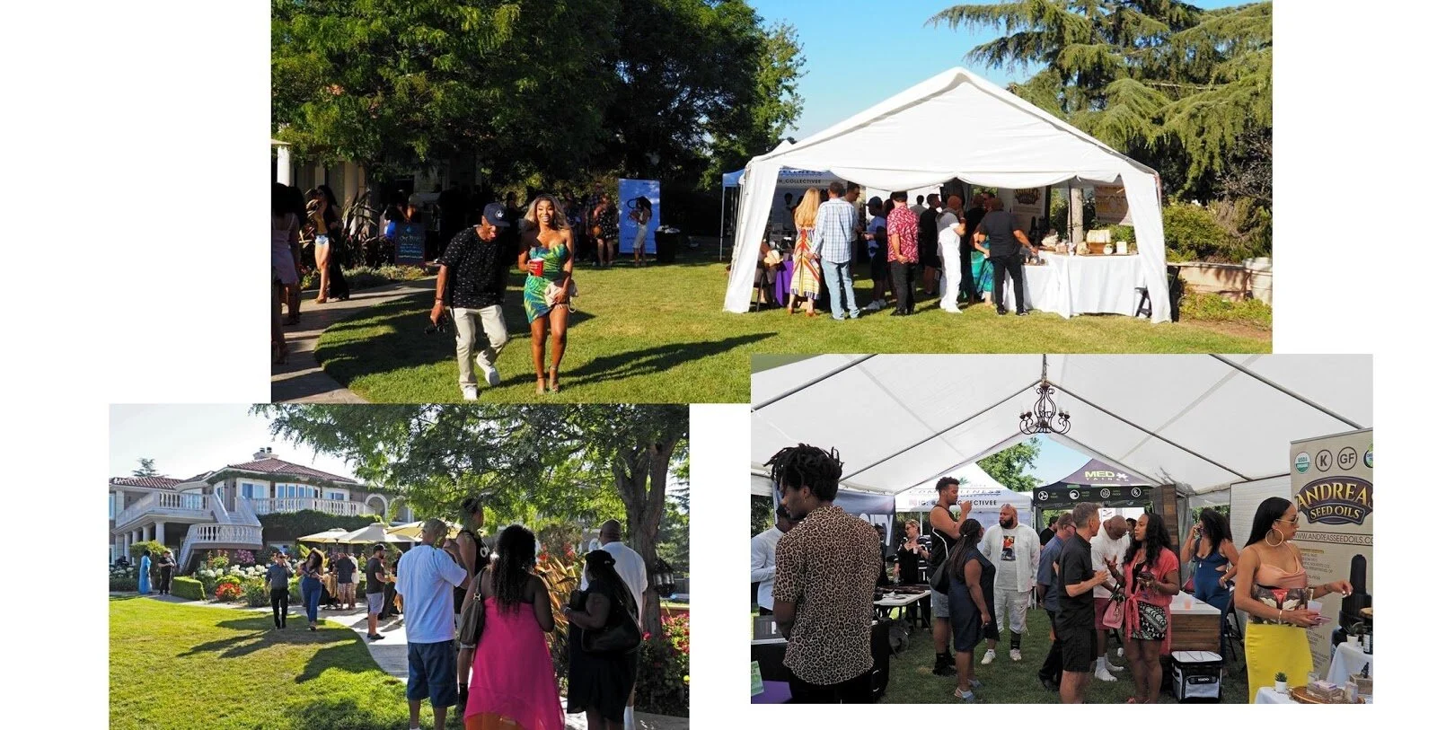 While the party honored Gary’s birthday and&nbsp;cinematic achievements, cannabis companies had the opportunity to take part and speak with potential investors and guests in a large tented area near the pool. Throughout the 10-hour event, the party …