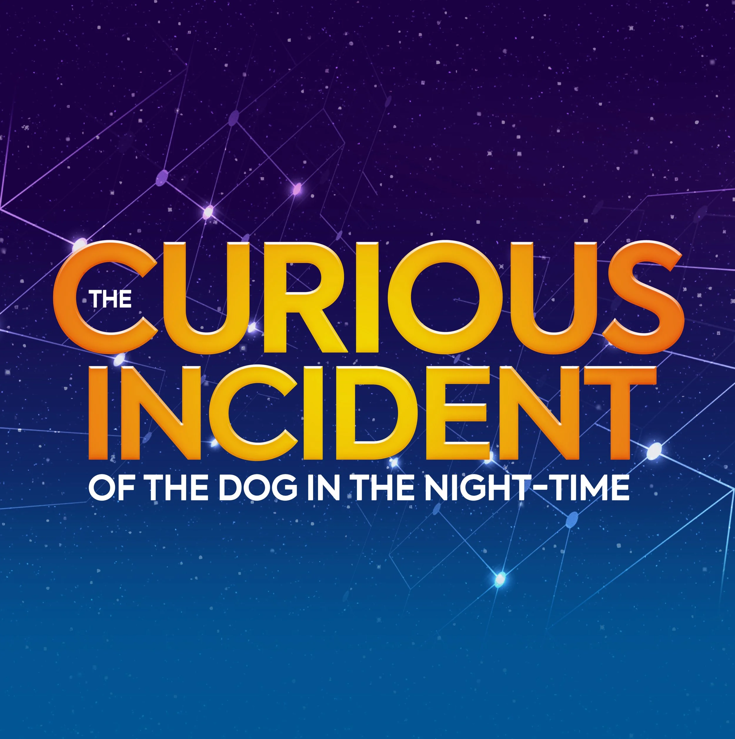 The Curious Incident of the Dog in the Night-Time (Copy)