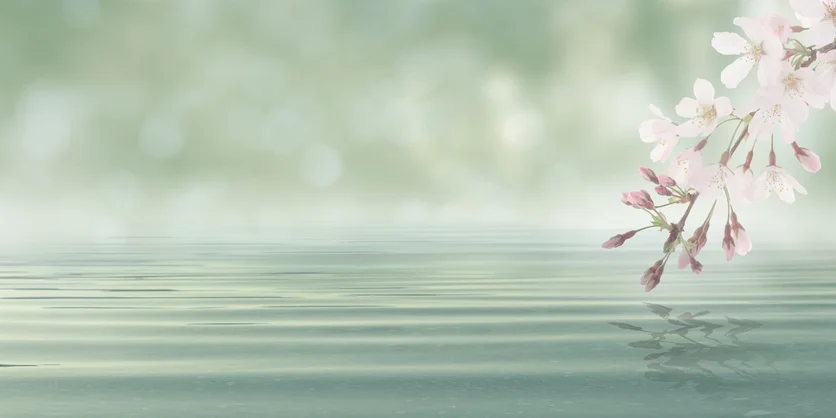 iStock-826989152.jpg