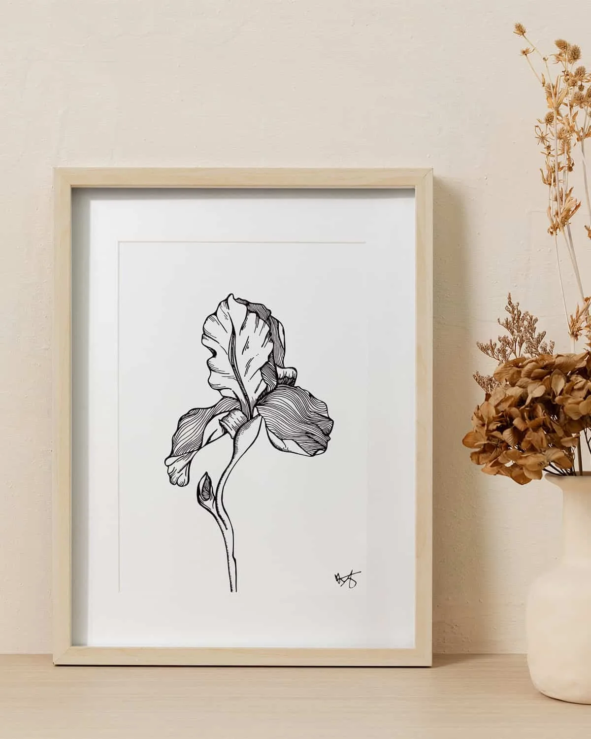 Digital Download_The Iris_D.jpg