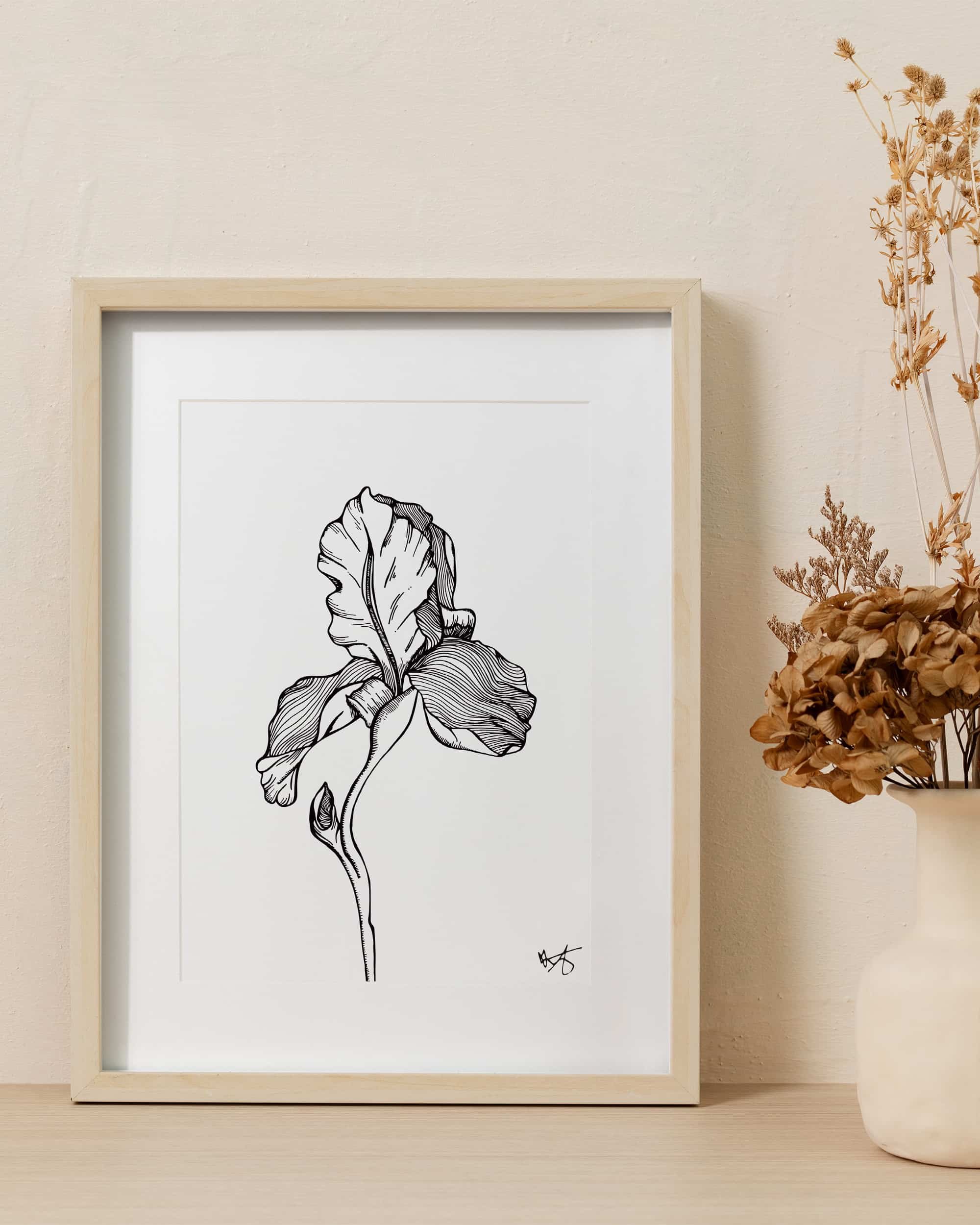 Digital Download_The Iris_D.jpg