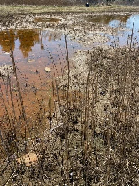 image4.jpeg