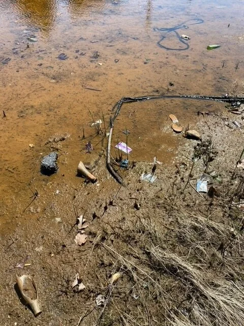 RECAP: Earth Day Clean Up in Marshfield