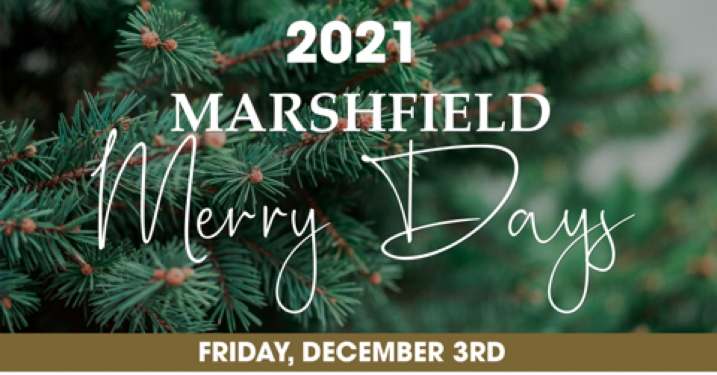Marshfield Merry Days Daniel Webster Estate Christmas Show House Gala