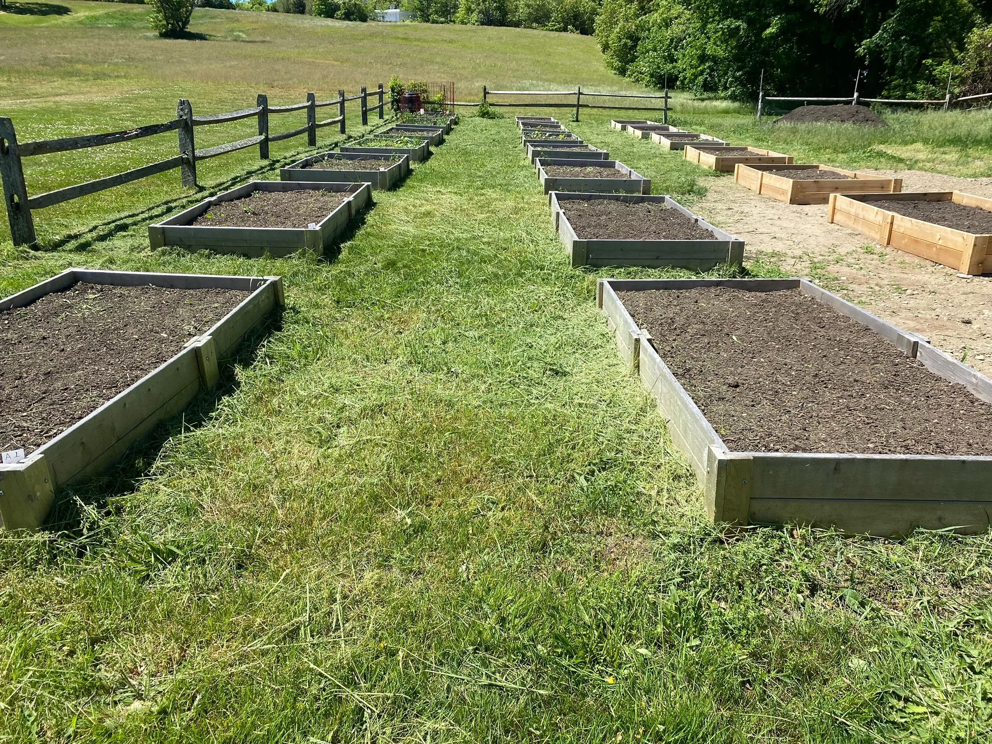 Food Pantry Gardening Project