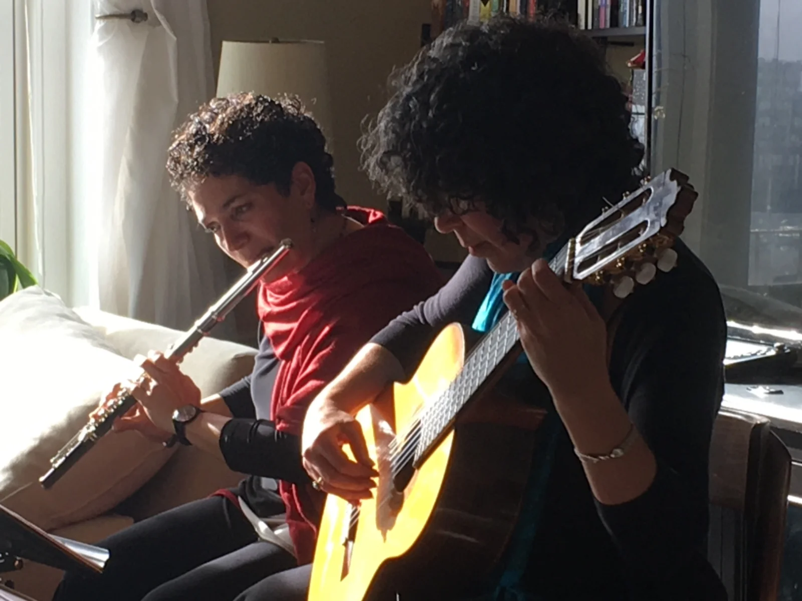 Ave Fénix Duo March 2019.jpeg