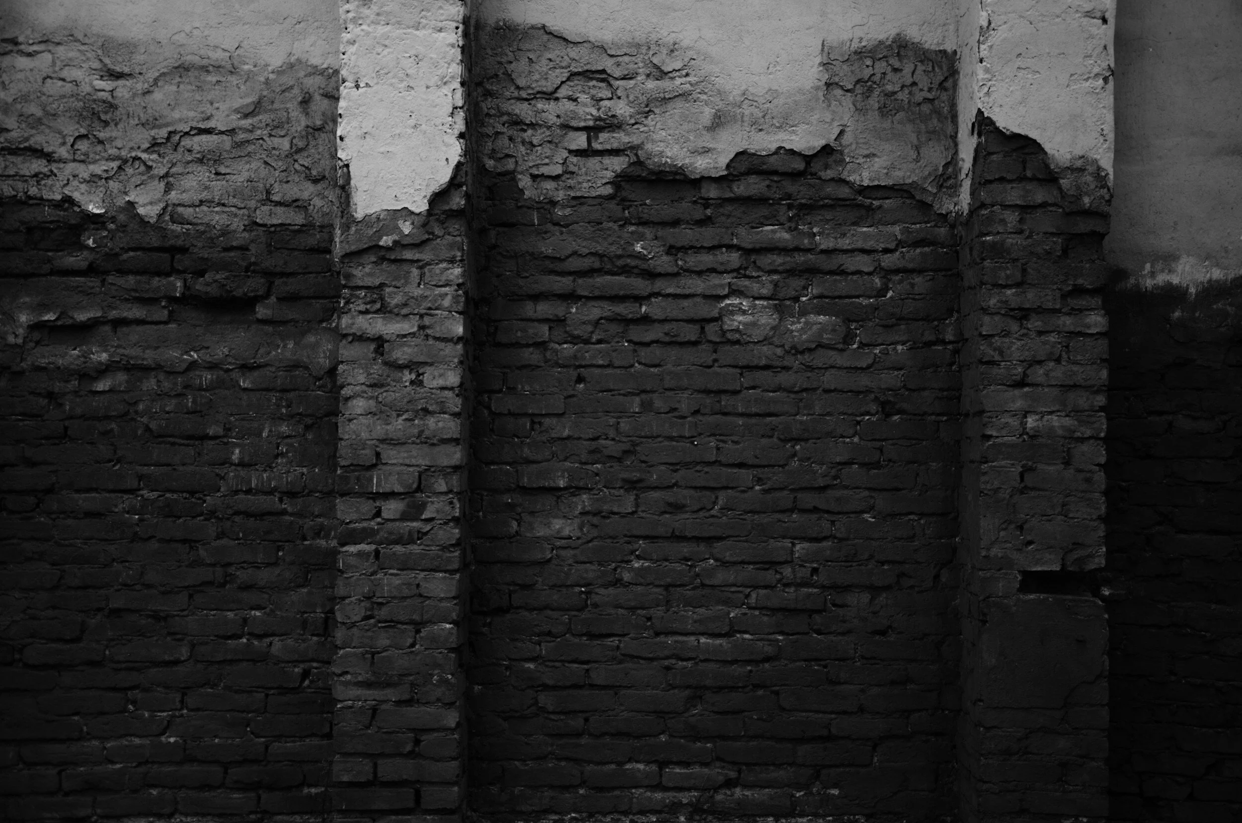 Something rotten in the state of Papakura…and elsewhere!