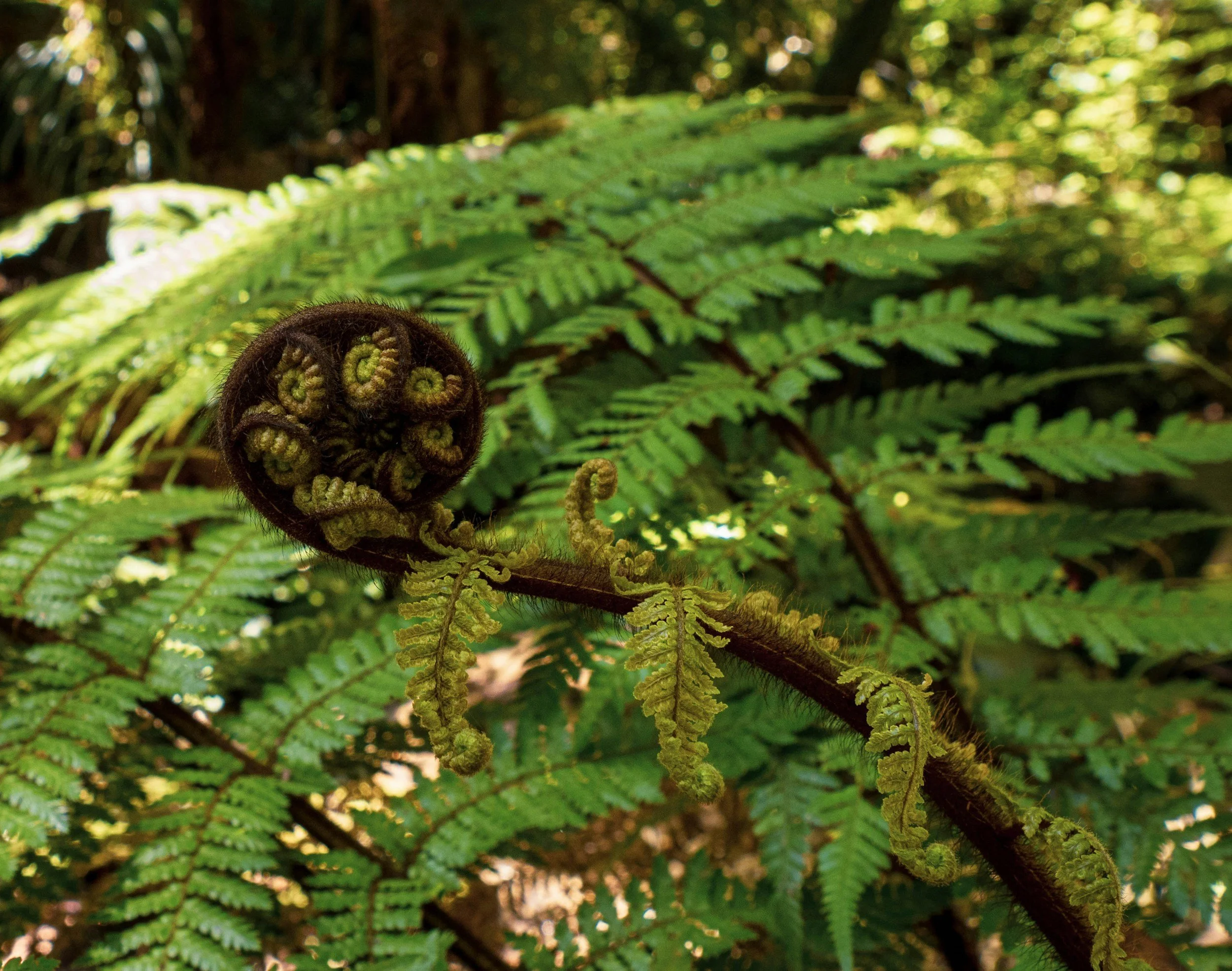 Judicial appointments: March 2026 update