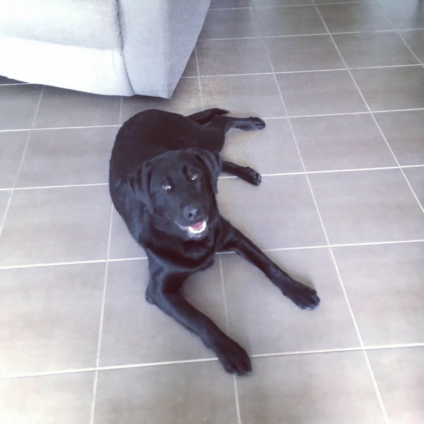 Wonderful Willow learns calmness
