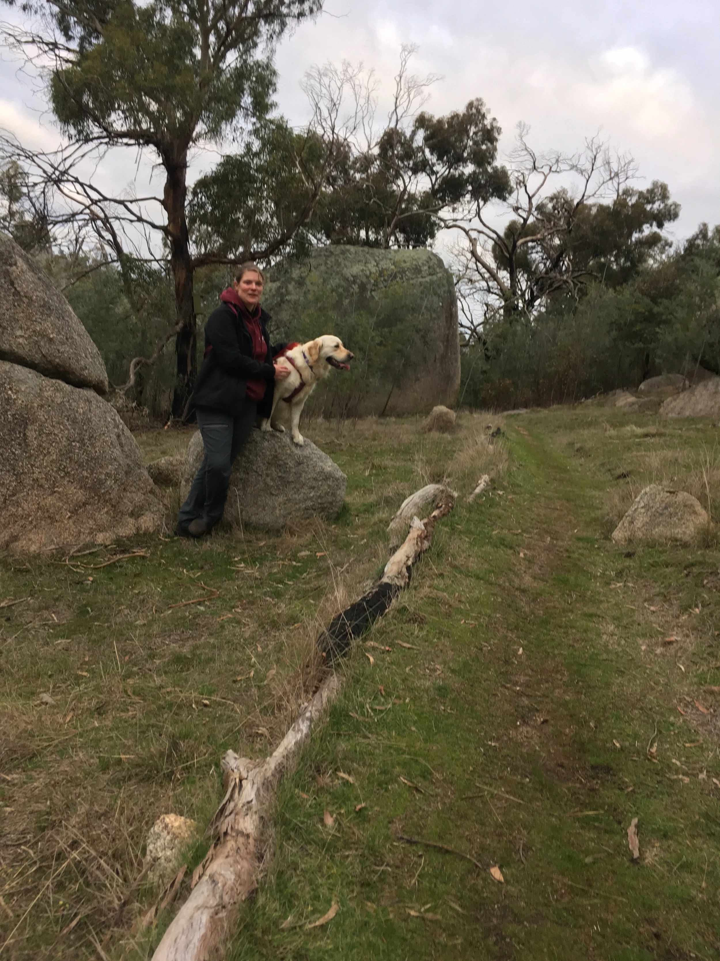 Bush walking with Luna