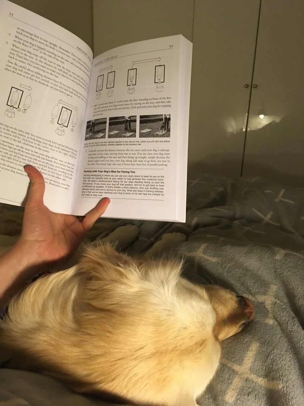 Morning reading