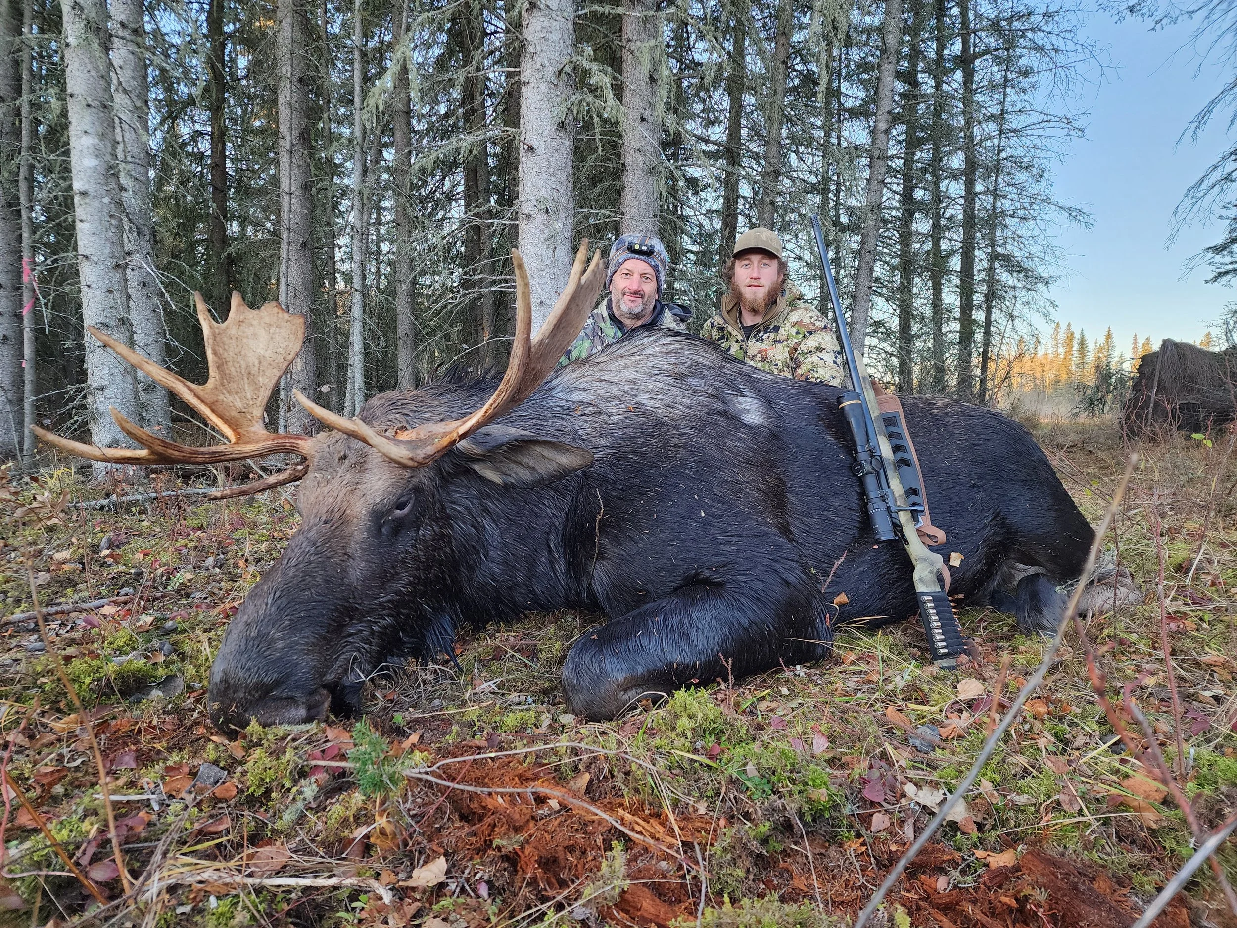 Alberta Moose Hunt — Primal Adventures