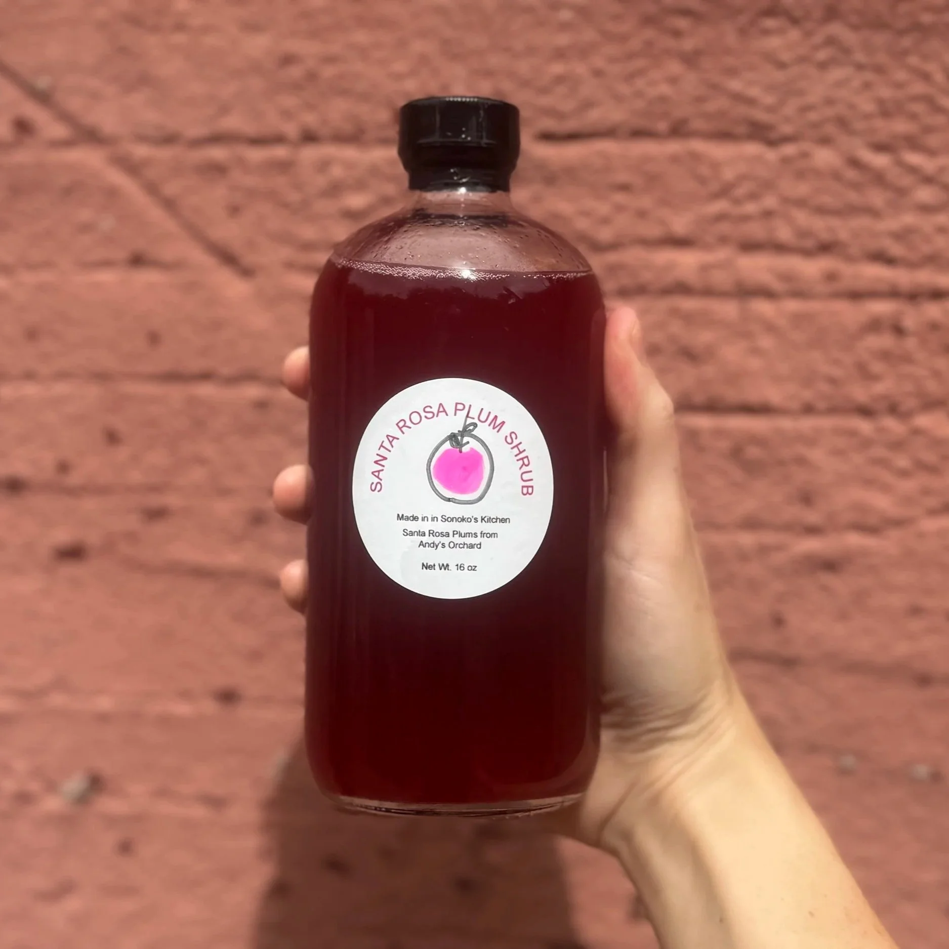 santa+rosa+plum+shrub+1.jpg