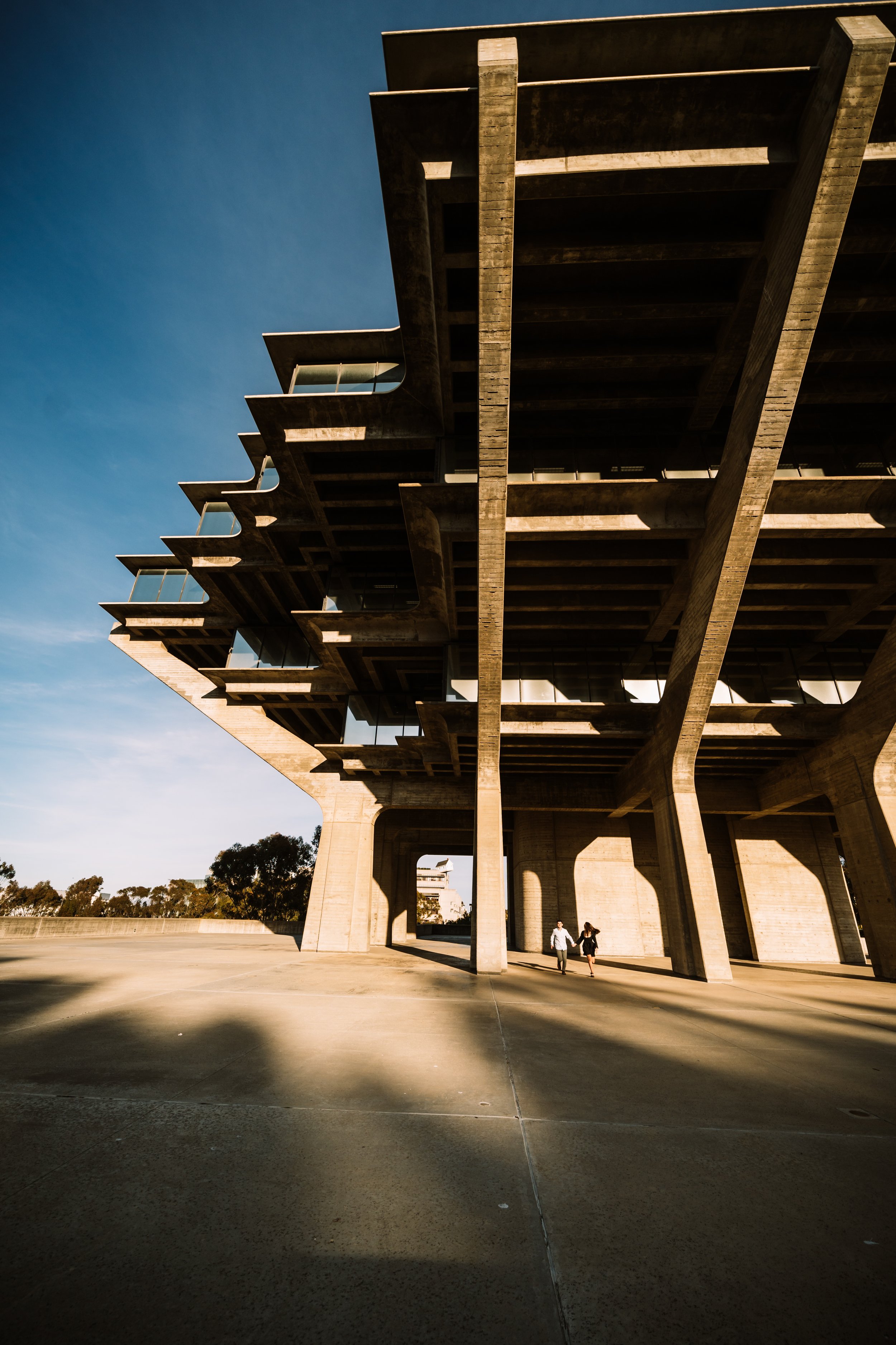 Aubrey + Mick Engagement Photos - UCSD Feb 2022 - FINAL-134.jpg