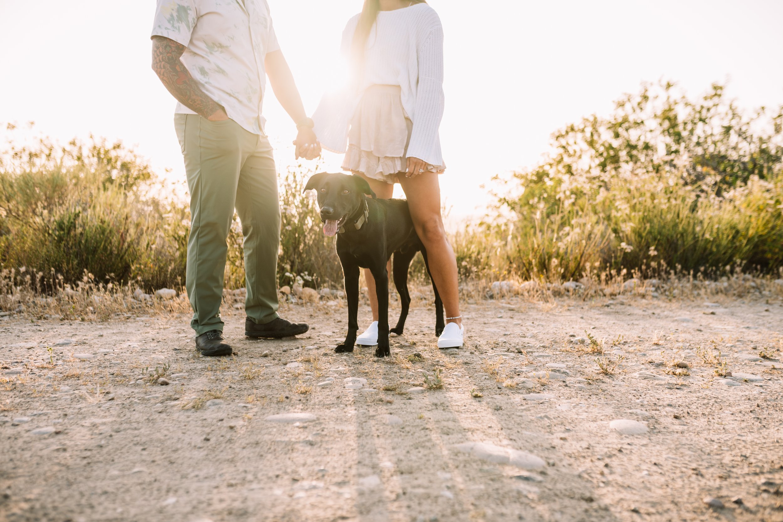 Katie + Zach + Tucker dog couples 2022 - FINAL-4.jpg