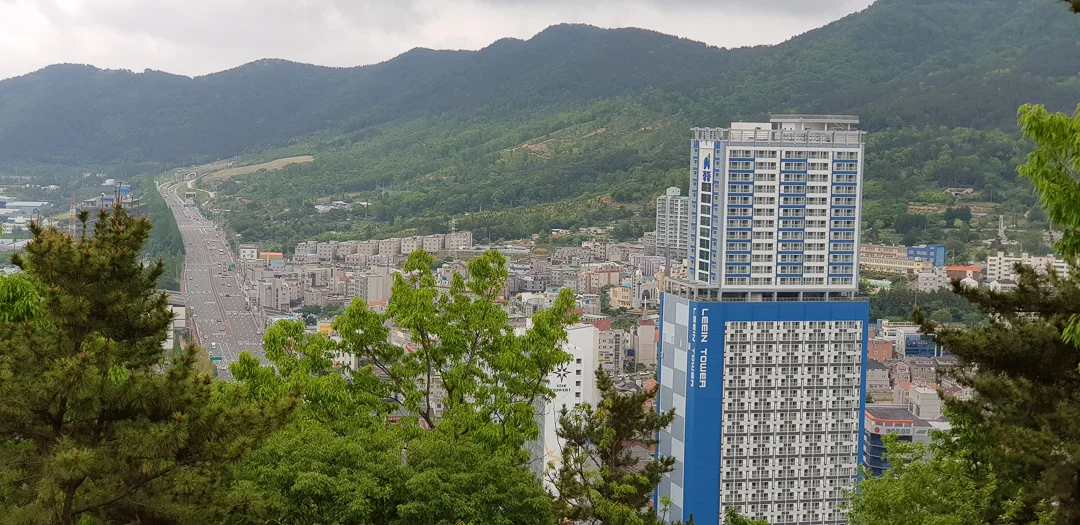 20180512_110129.jpg