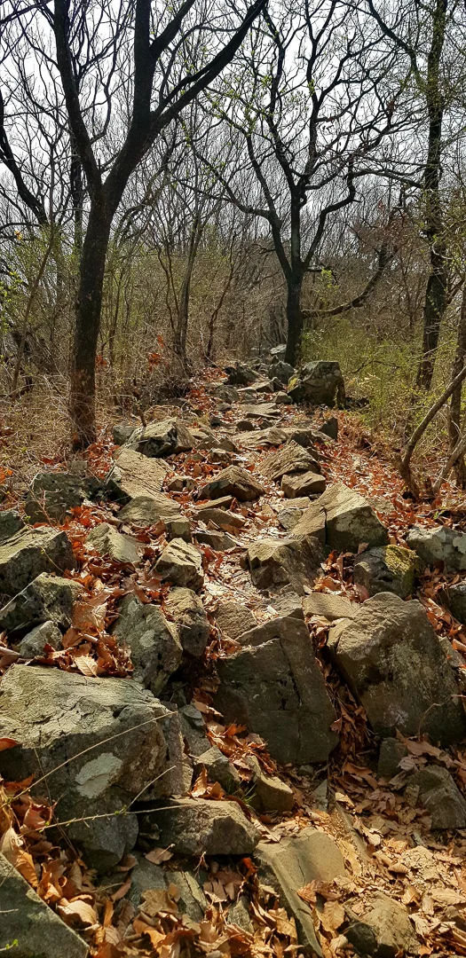 20180401_091456.jpg