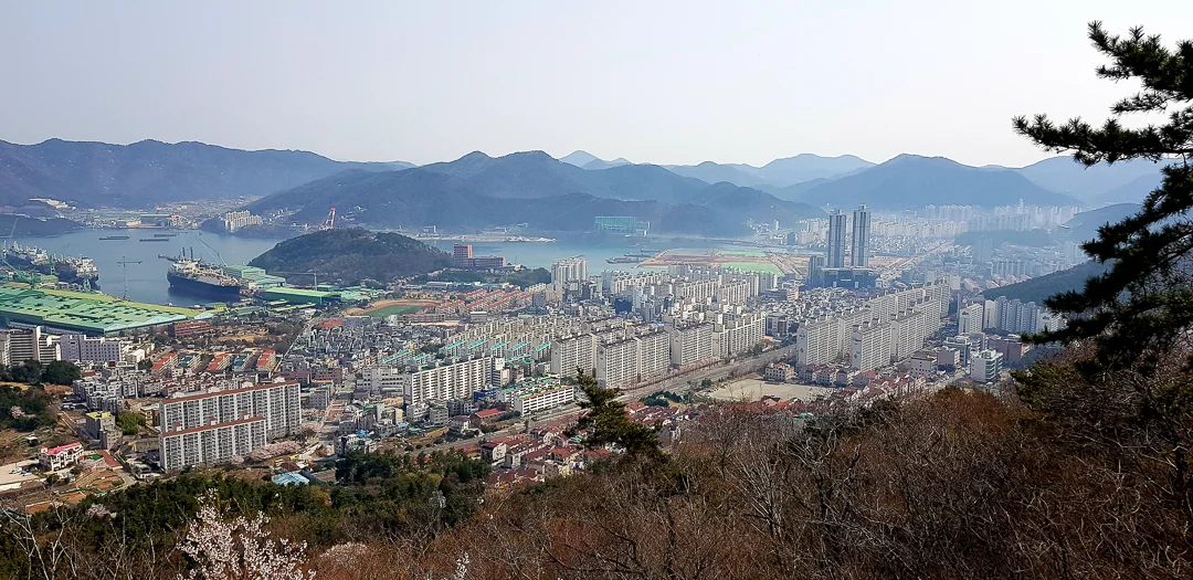 20180401_091430.jpg