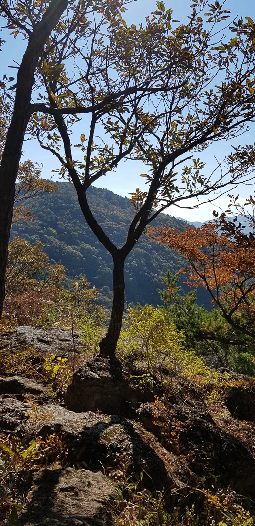 20181031_101819.jpg