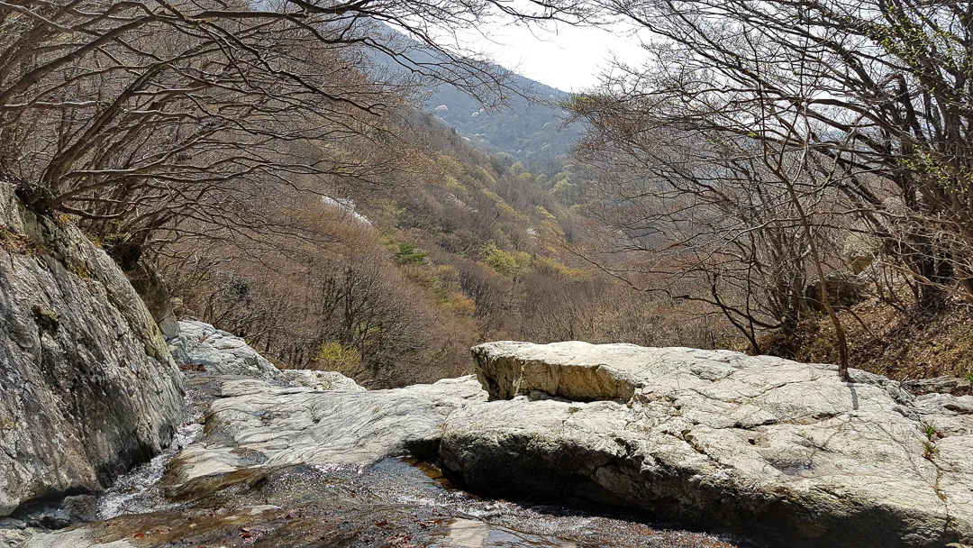 20190330_123848.jpg