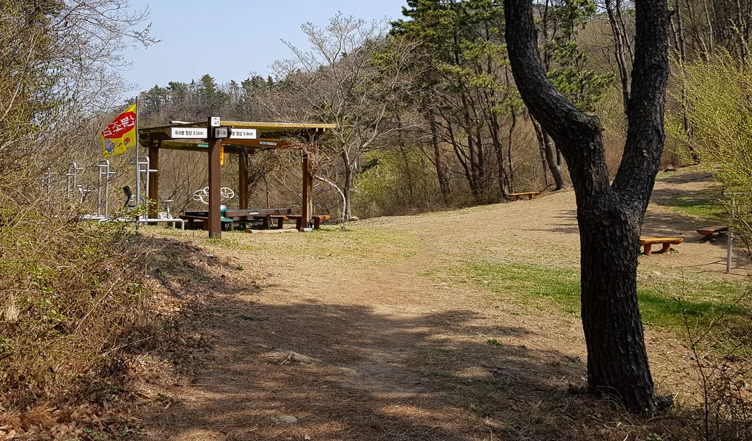 20190330_124746.jpg