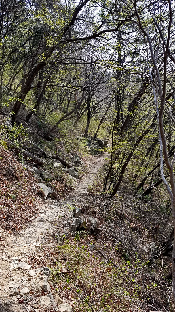 20190330_131336.jpg