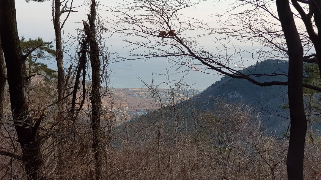 20190220_075705.jpg