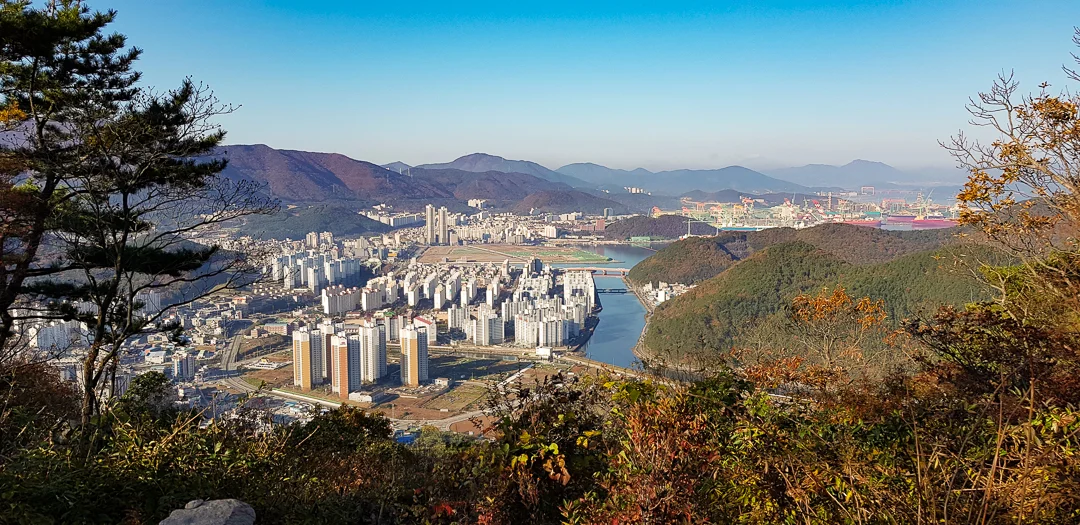 20181114_090528.jpg
