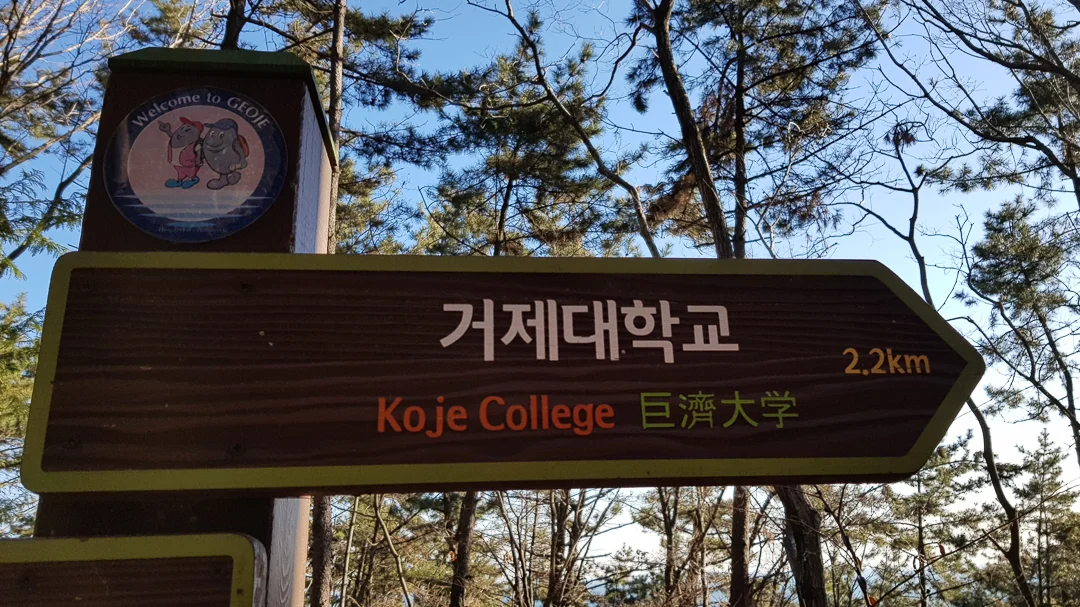 20190116_092801.jpg
