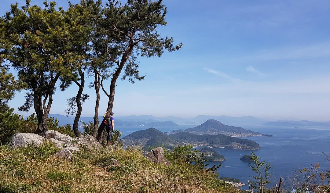 20190414_112734.jpg