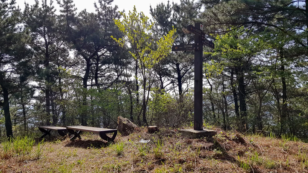 20190418_091351.jpg