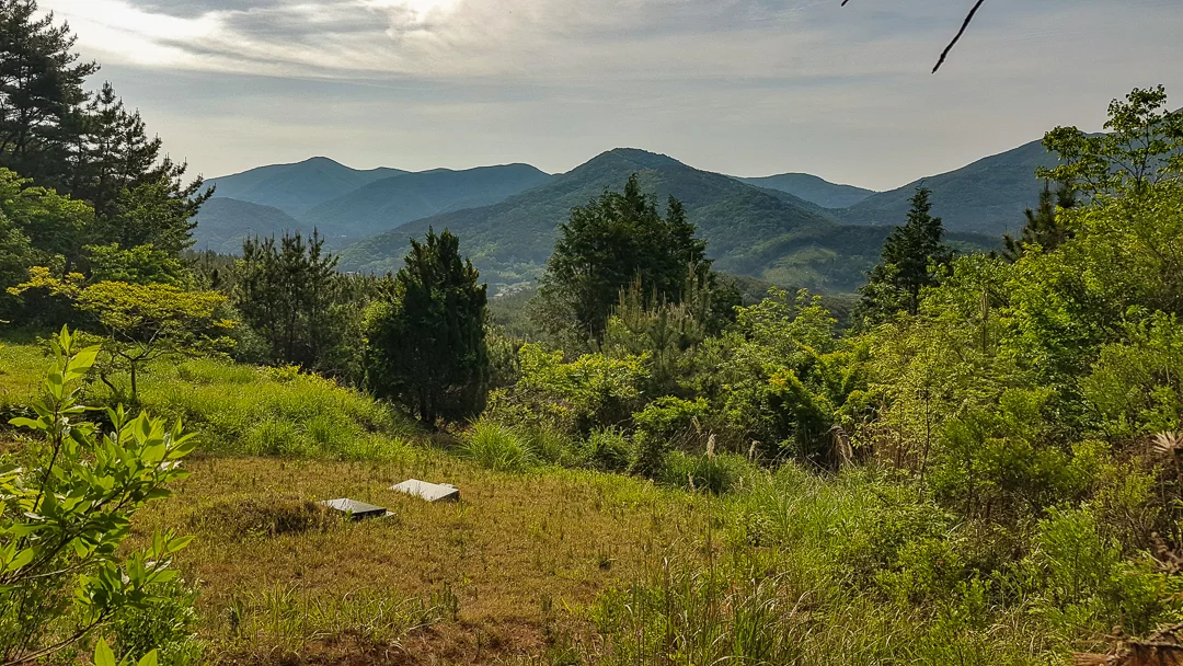 20190508_084722.jpg